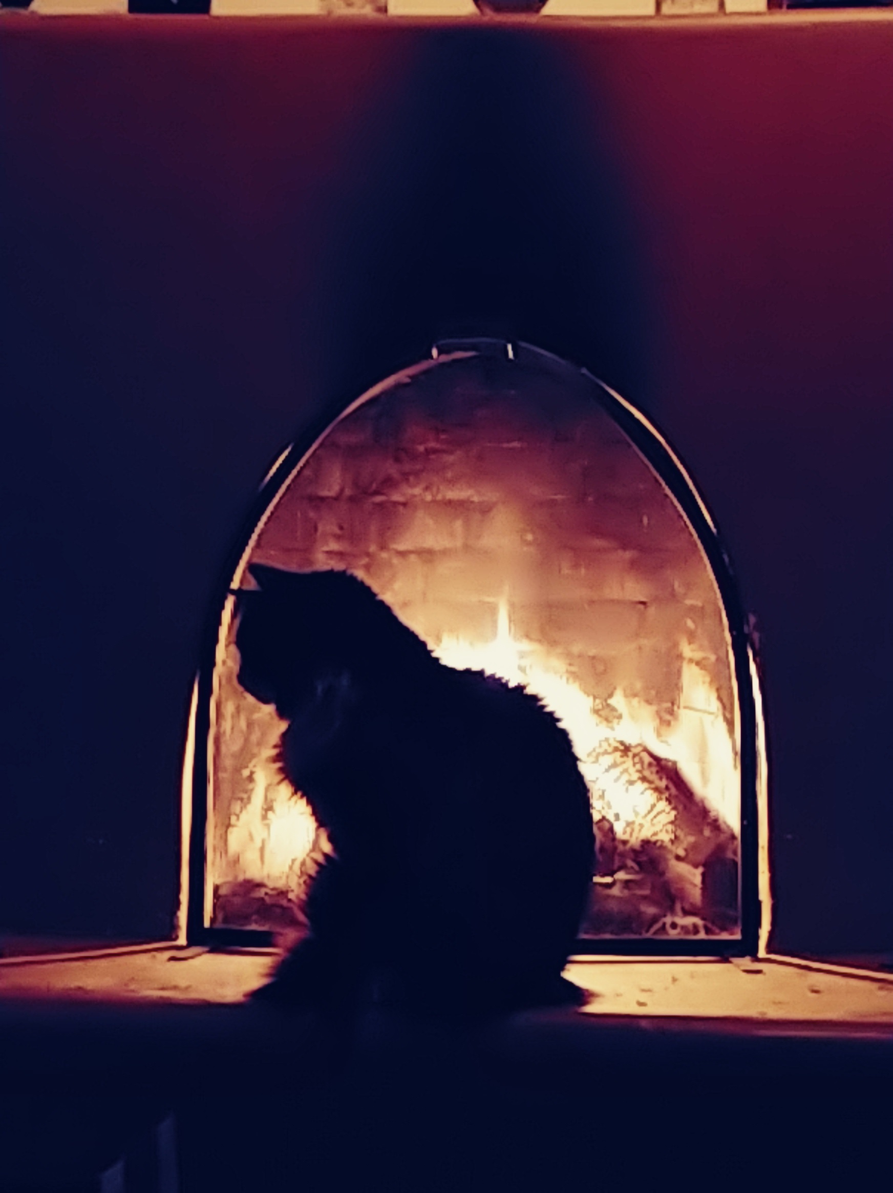 Jackson silhouetted by the fire